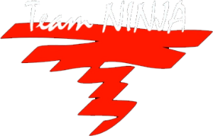 Team Ninja
